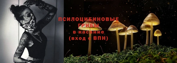 мдпв Володарск