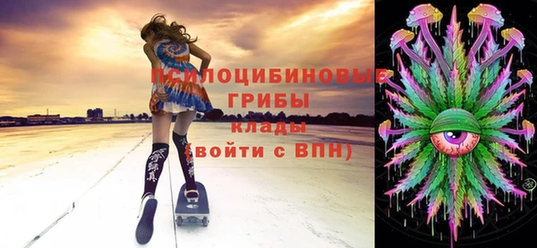 мдпв Володарск