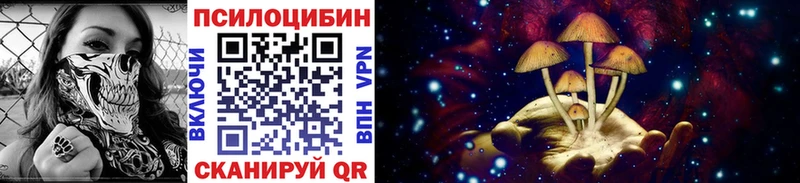 Купить где  Кизляр  Галлюциногенные грибы GOLDEN TEACHER 